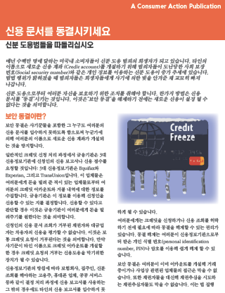 Freeze Your Credit File (Korean)
