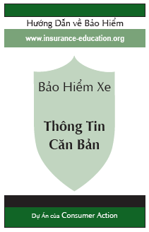 Auto Insurance: The Basics (Vietnamese)