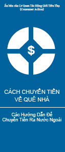 How to send money home (Vietnamese)