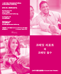 Credit Reports and Credit Scores (Korean)